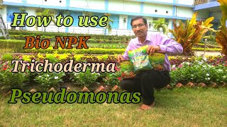 Use Bio NPK  Trichoderma and Pseudomonas and See the Results [upl. by Tuck942]