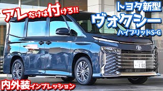 【オプション注意】トヨタ新型ヴォクシー内外装紹介！アレだけは迷わず付けるべし！【TOYOTA NEW VOXY HYBRID SG】 [upl. by Sorazal608]