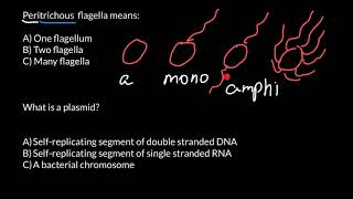 How to Memorize Names of the Different Types of Bacteria [upl. by Eade]