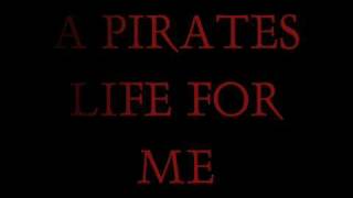 Disneys Karaokes  Pirates of the Caribbean [upl. by Hilar]