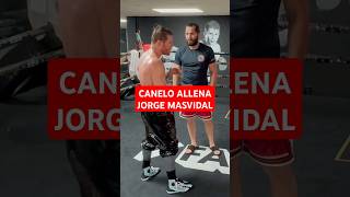 CANELO 🤝🏻 MASVIDAL [upl. by Aihsatan]