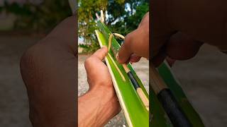 Propagation of new ideas with green bamboo slingsbamboo bambooart bamboocraft diy bamboo Aart [upl. by Hpeosj]