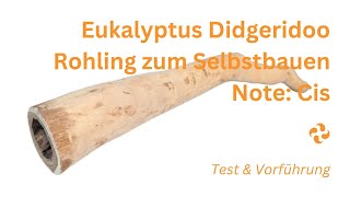 Individuelles Eukalyptus Didgeridoo  Rohling in Note Cis zum Selbstbauen – Test und Klangvorführung [upl. by Hameerak58]