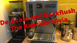 Rancilio Silvia How To Descale and Backflush Espresso Coffee Machine My Coffee Journey episode 20 [upl. by Tiertza]