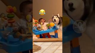 When Dogs Become Baby’s Crying Buddy 🐶👶 MyPetsie [upl. by Gass]