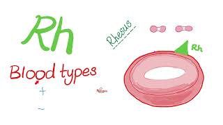 ABO Blood Antigens and Rh D Antigen 🩸  Biology 🧪 [upl. by Iams]