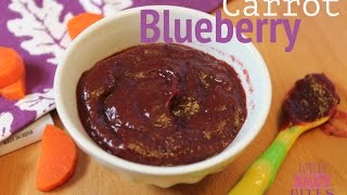 Carrot Blueberry Baby Puree  Elles First Foods [upl. by Karlene]