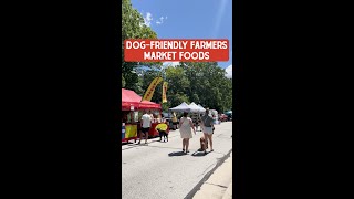 Dog Friendly Farmers Market Foods [upl. by Anai]