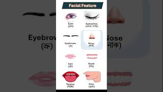 Facial Features😀👍👍  Learn English With Ease [upl. by Kermie]