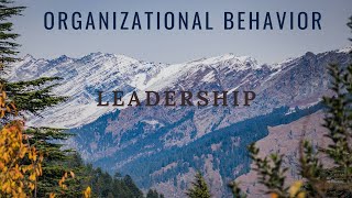 Organizational Behavior  Leadership [upl. by Ribble591]