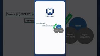 Antiplatelets vs Anticoagulants medicine [upl. by Whyte172]