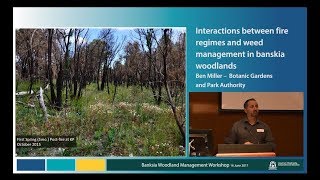 Ben Miller – Interactions between fire regime and weed management in banksia woodlands [upl. by Atnahc]