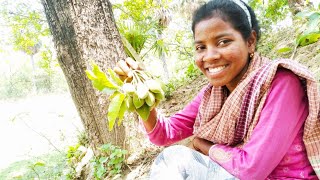 Mahua fruit recipe with poppy seed village traditional food [upl. by Irrot203]