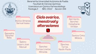 CICLO OVÁRICO [upl. by Sauder616]