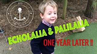 Echolalia amp Palilalia  What does Echolalia sound like  ONE YEAR LATER  ASD  Child Speech Delay [upl. by Asli]