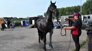 Outdoor Regiokampioenschappen KNHS Zuid Holland 2023 [upl. by Sandell]