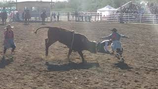 2020 SELLS AZ RODEO AND FAIR BULL RIDING [upl. by Arnaud]