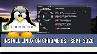 Installing Linux on Chrome OS  Sept 2020 [upl. by Odnarb416]