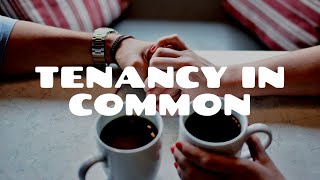 Tenancy in Common Part 1  Land Law [upl. by Roxy]