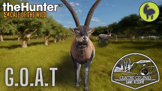 GOAT Cuatro Colinas  theHunter Call of the Wild PS5 4K [upl. by Aima]