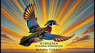 Wingspan Oceania  Battling Starting Hand Wood Duck [upl. by Carrington]