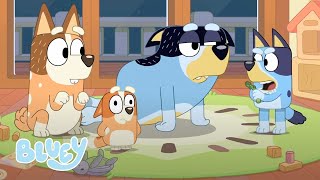 Bluey Temporada 1 Episodios Completos  Bluey Canal Oficial en Castellano [upl. by Ttihw]