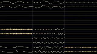 quotInsaniquarium Deluxe PCquot Full Soundtrack  Oscilloscope Visualization [upl. by Sally]