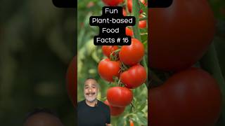 Tomatoes Stored The Right Way plantbased plantbasedfood youtubeshorts [upl. by Arahsat96]