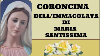 CORONCINA DELLIMMACOLATA DI MARIA SANTISSIMA [upl. by Eidnak]