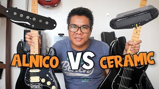 ALNICO vs CERAMIC PICKUPS  Clifton Maestro vs Tokai Custom Edition Strat tone comparison [upl. by Attenol]