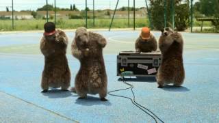 Marmottes de france 3 [upl. by Flower]