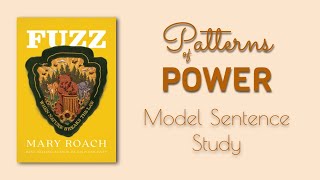 Model Sentence Study Fuzz [upl. by Christa801]