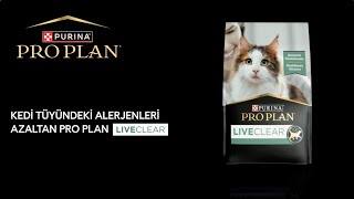 Kedi Tüyüne Hassasiyetiniz mi Var Pro Plan LiveClear Kedinizin Tüylerindeki Alerjenleri Azaltır [upl. by Dahsra]