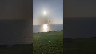 Paragliding  Torrey Pines Gliderport  La Jolla  San Diego paragliding aviation shorts relax [upl. by Chema]