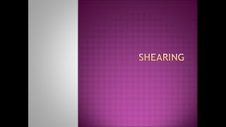 Shearing in Computer Graphics solved numerical [upl. by Korff]