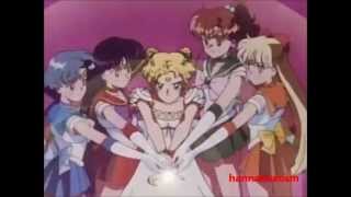 fan made sailor moon intro [upl. by Calli]