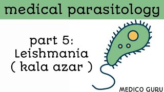 Parasites in medical microbiology part 5  leishmania donovani notes kala azar [upl. by Ogires296]