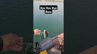 Bye Bye Bye Bass bassfishing kayakangler kayakfisherman largemouthbass fishing outdoors nsync [upl. by Eissehc]