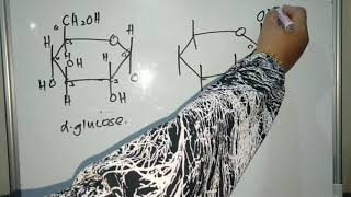 Structure of Alpha and Beta Glucose Tutorial 12 Carbohydrate [upl. by Notyad]