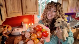 2 Great Uses For Cherry Tomatoes [upl. by Ociram]