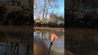 catching fish on the Tallapoosa Maybe [upl. by Norm]