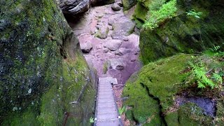 Wilde Hölle Stiege Klettersteige und Stiegen POV Wandern Sächsische Schweiz Elbsandsteingebirge 4K [upl. by Assirram759]