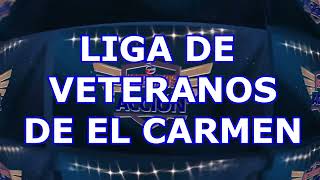 ESTADISTICAS LIGA DE VETERANOS DE EL CARMEN 191224 [upl. by Kristien]