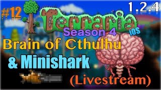 Lets Play Terraria 124 iOS Brain of Cthulhu amp Minishark Episode 12 Livestream [upl. by Lundeen]