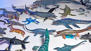 Marine Reptiles Collection  Mosasaurus Kronosaurus Tylosaurus Liopleurodon Elasmosaurus [upl. by Antons]