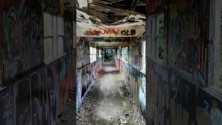 Usine tourteau abandoned urbex abandonedplaces graffiti shorts [upl. by Ibby]