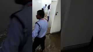 Flood in IT company Ecospace Bangalore 15102017 [upl. by Atniuqal]