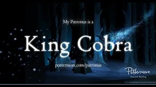 my patronus King Cobra [upl. by Vaas392]