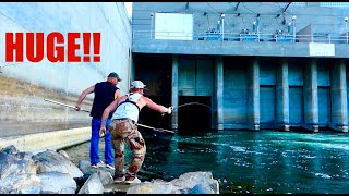 Wyoming Trout Fishing a spillway FULL OF GIANTS Only way that worked [upl. by Corabelle]