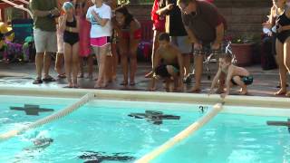 Ingomar North Recreation and Swim Club Home Swim Meet  July 1 2013 [upl. by Haleelahk]